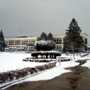 부론중학교 이미지