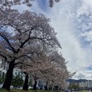 서상동143 | 경산카페 가볼만한곳 망고빙수맛집 달다구니 카페