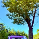 사천농협 하나로마트 사천점 이미지