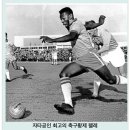 동양마스터태권도장 이미지