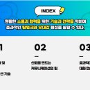 볼라투스 이미지