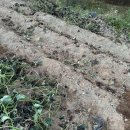 옥산가한의원 이미지