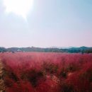나리미용실 이미지