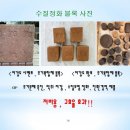 와이지바이오 이미지
