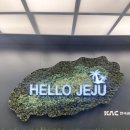 오바디짐 | [낭만의 제주도🍊] 제주도 1일차