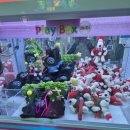 보물섬뽑기 이미지