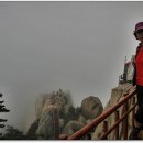 샤브작샤브작 이미지