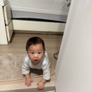 박도순 | 3월 육아 일기 👶🏻 (생후 280~310일) 생후 9개월-10개월