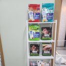 늘, 이쁘개 이미지