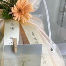 쭉쭉이네과일