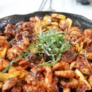 마당발쭈꾸미 이미지