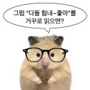 꿈도 희망도 낭만도 없는 졸업 전 막학기