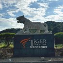 타이거골프연습장 이미지