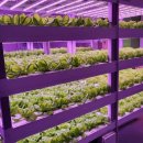 세종특별자치시농업기술센터 이미지