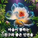 깊어가는 가을밤 이미지