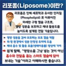 지원메디칼약국 이미지