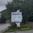 십일남매떡볶이 | [판부화덕피자] 피자집이라서 갔는데 떡볶이와 들깨칼국수 맛집?! / 충격적인 방문 후기