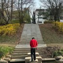 스테디에브리웨어 코튼 브이넥 니트 4사이즈 후기