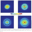 Re: 양전류와 암치유-보충설명 이미지