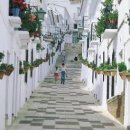 태양의 해변 이미지