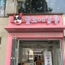 클로에 살롱 | 영통동 애견샵 클로에 살롱 위치.가격.시간.후기