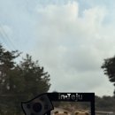 보리스의 제주 여행기 (with 리락쿠마와 친구들)