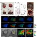 경진의료재단 이미지