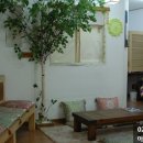 새봄한의원 이미지