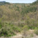 노동리 기두마을 이미지