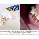 중화컴퓨터 이미지