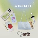 ‎˚.⋆⁺₊ 6월 위시리스트 | 느좋 핸드폰 케이스 키링 에코백