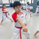 행복한부부태권도장 이미지