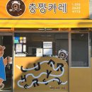 충짱카레 이미지