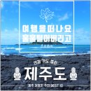 대방종합사회복지관 | &lt; 대방종합사회복지관 4주 차 블로그 수업( Canva :이미지 편집 플랫폼) &gt;