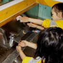 돼지보러오면돼지 이미지