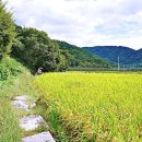 문화마을길-1 이미지