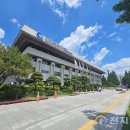 타로심리상담사 3급 이미지