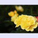 곡성-049 이미지