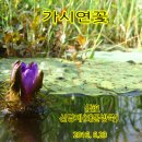 신당제 이미지