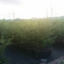 해아리농장 이미지