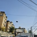 천지연랜드 이미지