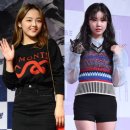 수진스포츠 이미지