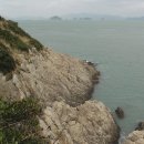 진도약초 이미지