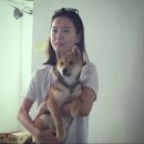 강아지 사랑 이미지