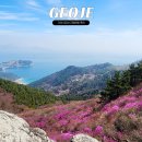 대금산진달래길(등산) 이미지