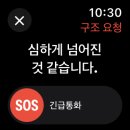 대자로 이미지