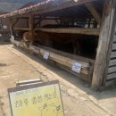 유포리목장 이미지