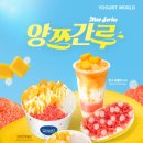 요가트월드 신메뉴 요거트월드 양쯔간루월드 내돈내산 후기