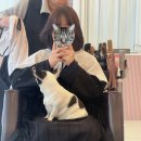 다산동 염색 잘하는 집, 살롱위닝 준혁 원장님과 함께 톤 다운