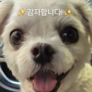 엉터리무한대패안산중앙점